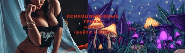 PSILOCYBIN Богородицк