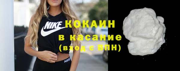 твердый Богданович