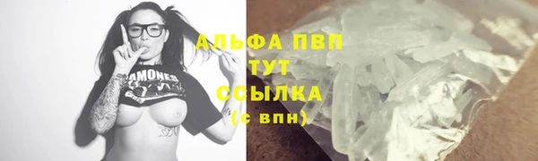 PSILOCYBIN Богородицк