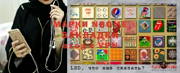 PSILOCYBIN Богородицк