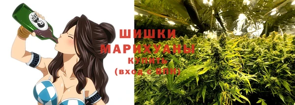 Альфа ПВП Богородск