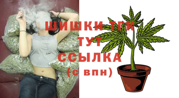 тгк Бронницы