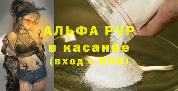 твердый Богданович