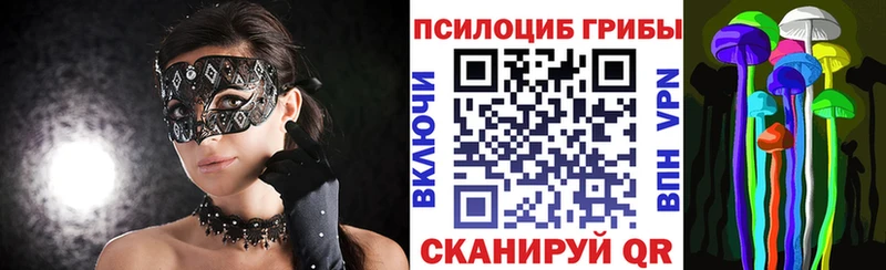как найти закладки  Бийск  Галлюциногенные грибы GOLDEN TEACHER 
