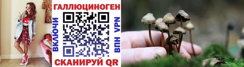 Псилоцибиновые грибы прущие грибы Бийск